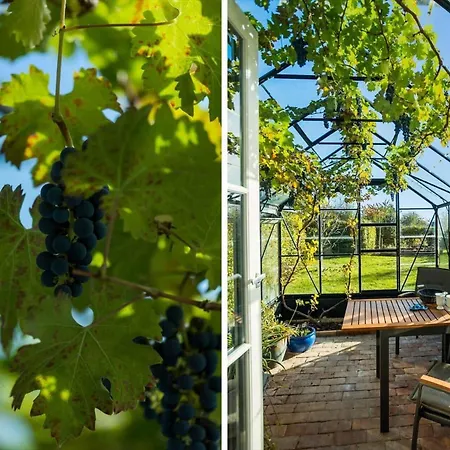 Holiday home Fy381-svendborg-grastenvej-218 Svendborg