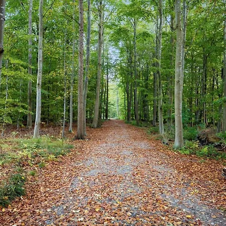 Fy381-svendborg-grastenvej-218 Prázdninový dům Svendborg